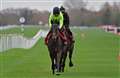 Horseracing: Seven Barrows trainer Nicky Henderson says timing is right for Beware the Bear
