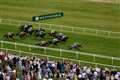 Haggas aiming for Saturday big race double on Newbury's Flat finale