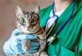 Veterinary clinic re-opens following refurbishment