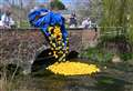 Village hosts 30th annual duck derby