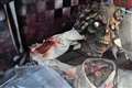 Dismembered limbs and dead babies - has Newbury shop taken Hallowe'en too far?
