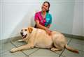 'Feeding your dog a slice of toast is like you eating two portions of fries'
