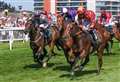 Gubbass on the money for Hannon in Super Sprint at Newbury