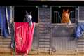 Stable Talk: Sherwood’s many memories