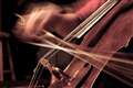 Amazing young musicians