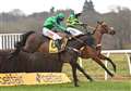 Champ has the backing from Barry Geraghty ahead of Cheltenham Gold Cup
