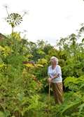 Pensioner battles poisonous 15ft high giant hogweed plants