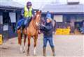 Lambourn trainer Jamie Snowden targets more Cheltenham Festival success