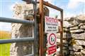 Farmers fear out of control dogs as visitors flock to countryside over Easter