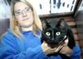 Woody the cat's happy ending after being thrown out of a car