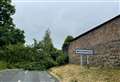 Fallen tree blocks road