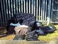 Fly-tipping racks up £70,000 taxpayer bill 