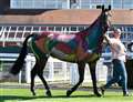 Equine Welfare Promoted At Newbury Racecourse Through National Raceday with The Horse Comes First