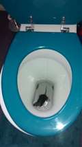 Housing association called after rat found in toilet