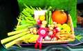 Southyby's allotment open day cancelled today