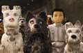 Doggy dystopia