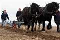 Ploughs at the ready today (Sat)