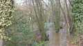 Woolton Hill nature reserve affected by sewage leak