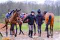 Trainer Harry Whittington believes the yard form is improving at the right time ahead of Cheltenham