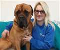 Campaign to help save animal welfare charity from potential closure