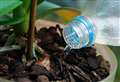 Why grey water can save your garden and 8 other water-saving tips