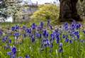 Get out for National Walking Month