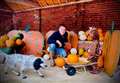 Pick your own pumpkin at Donnington site
