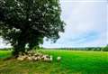 Size of proposed solar farm reduced