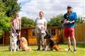West Berkshire dog boarders fighting 'barking mad' proposed license fee hike