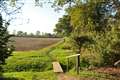 Second petition circulating Kingsclere opposing development site