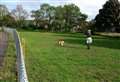 Decision deadline pushed back for flood basin