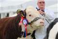 More than 32,000 expected for this weekend’s Newbury Show