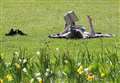 Spring set for welcome return with hot weather forecast 