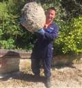 Mammoth wasps' nest uncovered in Newbury