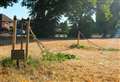 Vandalised memorial trees may not survive