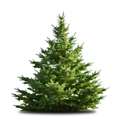 Pop-up market for Newbury businesses this Christmas