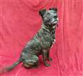 Hollywoof hopeful hopes to star in new home