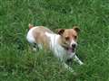 Could you fuss over Zoe and Pip?