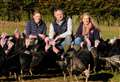 Walters Turkeys getting ready for Christmas