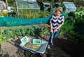 Town's best kept allotments crowned