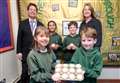 Federation helps build ties