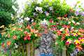 Rita's garden wows judges 