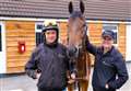 Trainer Oliver Signy opens doors to public as part of National Racehorse Week