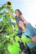 School girl grows whopping 12 ft sunflower