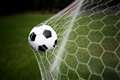Keep the Olympic flame alive, beome a sport maker