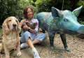 Hampshire Hogs let loose on Basingstoke streets