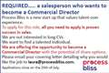 REQUIRED….. a salesperson who wants to become a Commercial Director