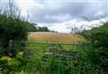 Planners likely to approve Wash Water solar farm plans