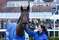 Challow Hurdle winner The New Lion sold to JP McManus