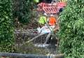 River 'pollution' has devastated wildlife, residents say